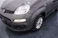Fiat New Panda 1.0 FireFly City Life S&S Hybrid Grigio - thumbnail 23