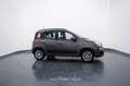 Fiat New Panda 1.0 FireFly City Life S&S Hybrid Grigio - thumbnail 7