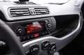 Fiat New Panda 1.0 FireFly City Life S&S Hybrid Grigio - thumbnail 12