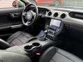 Ford Mustang 5.0 V8 GT 450CV ACC CAMERA CARPLAY 1ERE MAIN zelena - thumbnail 12