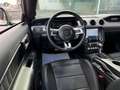 Ford Mustang 5.0 V8 GT 450CV ACC CAMERA CARPLAY 1ERE MAIN zelena - thumbnail 14