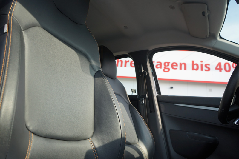 Dacia Spring Electric Comfort Plus Navi DAB Kamera PDC — photo 13