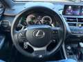 Lexus NX 300 h E-Four F Sport LED, Navi, SHZ, HUD, Kam. Rood - thumbnail 9