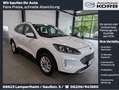 Ford Kuga Kuga Hybrid 2.5 Duratec FHEV TITANIUM Allrad Weiß - thumbnail 1