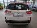 Ford Kuga Kuga Hybrid 2.5 Duratec FHEV TITANIUM Allrad Weiß - thumbnail 18