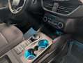 Ford Kuga Kuga Hybrid 2.5 Duratec FHEV TITANIUM Allrad Weiß - thumbnail 16