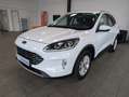 Ford Kuga Kuga Hybrid 2.5 Duratec FHEV TITANIUM Allrad Weiß - thumbnail 20
