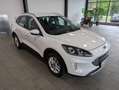 Ford Kuga Kuga Hybrid 2.5 Duratec FHEV TITANIUM Allrad Weiß - thumbnail 23