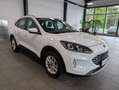 Ford Kuga Kuga Hybrid 2.5 Duratec FHEV TITANIUM Allrad Weiß - thumbnail 22