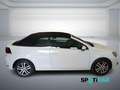Volkswagen Golf Cabriolet 1.6 TDI Blanc - thumbnail 4
