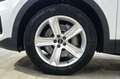 Audi Q8 45 TDI MHEV quattro tiptronic NO SUPERBOLLO Bianco - thumbnail 11