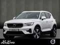 Volvo XC40 T4 Plus Bright Recharge Plug-In Hybrid 2WD Weiß - thumbnail 1