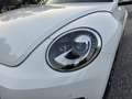 Volkswagen Beetle 1,2 TSI Design Blanc - thumbnail 10