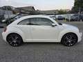 Volkswagen Beetle 1,2 TSI Design Blanc - thumbnail 4