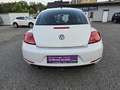 Volkswagen Beetle 1,2 TSI Design Blanc - thumbnail 6
