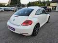 Volkswagen Beetle 1,2 TSI Design Weiß - thumbnail 5