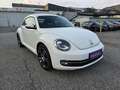 Volkswagen Beetle 1,2 TSI Design Blanc - thumbnail 3