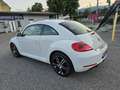 Volkswagen Beetle 1,2 TSI Design Blanc - thumbnail 7