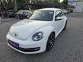 Volkswagen Beetle 1,2 TSI Design Blanc - thumbnail 17