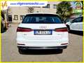 Audi A6 A6 Avant 35 2.0 tdi mhev Business Sport s-tronic Bianco - thumbnail 4