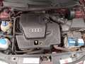 Audi A3 1.6i Attraction * LEZ OK * A/C * V/E * Rouge - thumbnail 12