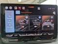 CUPRA Terramar 1.5eTSI HUD DCC Matrix Pano Sennh. 20" Grau - thumbnail 32