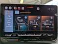 CUPRA Terramar 1.5eTSI HUD DCC Matrix Pano Sennh. 20" Grau - thumbnail 33