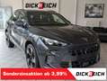 CUPRA Terramar 1.5eTSI HUD DCC Matrix Pano Sennh. 20" Grau - thumbnail 1
