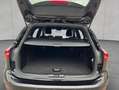 Ford Focus Turnier 1.0 Hybrid ST-LINE*Winterpaket*RFK* Noir - thumbnail 5
