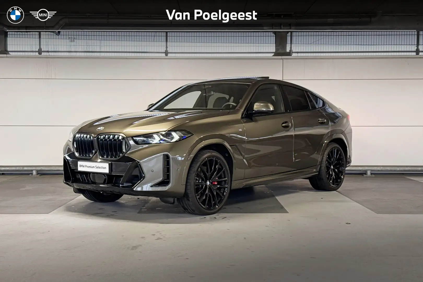 BMW X6 xDrive40i Vert - 1