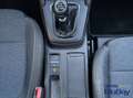 Ford Focus 1.0 EcoBoost Hybrid 125 CV 5p. Active X Blauw - thumbnail 21