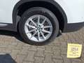 BMW X4 xDrive20i 18"ALU+DAB+LED+LIVE COCKPIT PLUS Weiß - thumbnail 13
