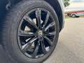 Volkswagen T-Roc 2.0 TSI DSG Sport 4Motion *AHK*Navi* Weiß - thumbnail 23