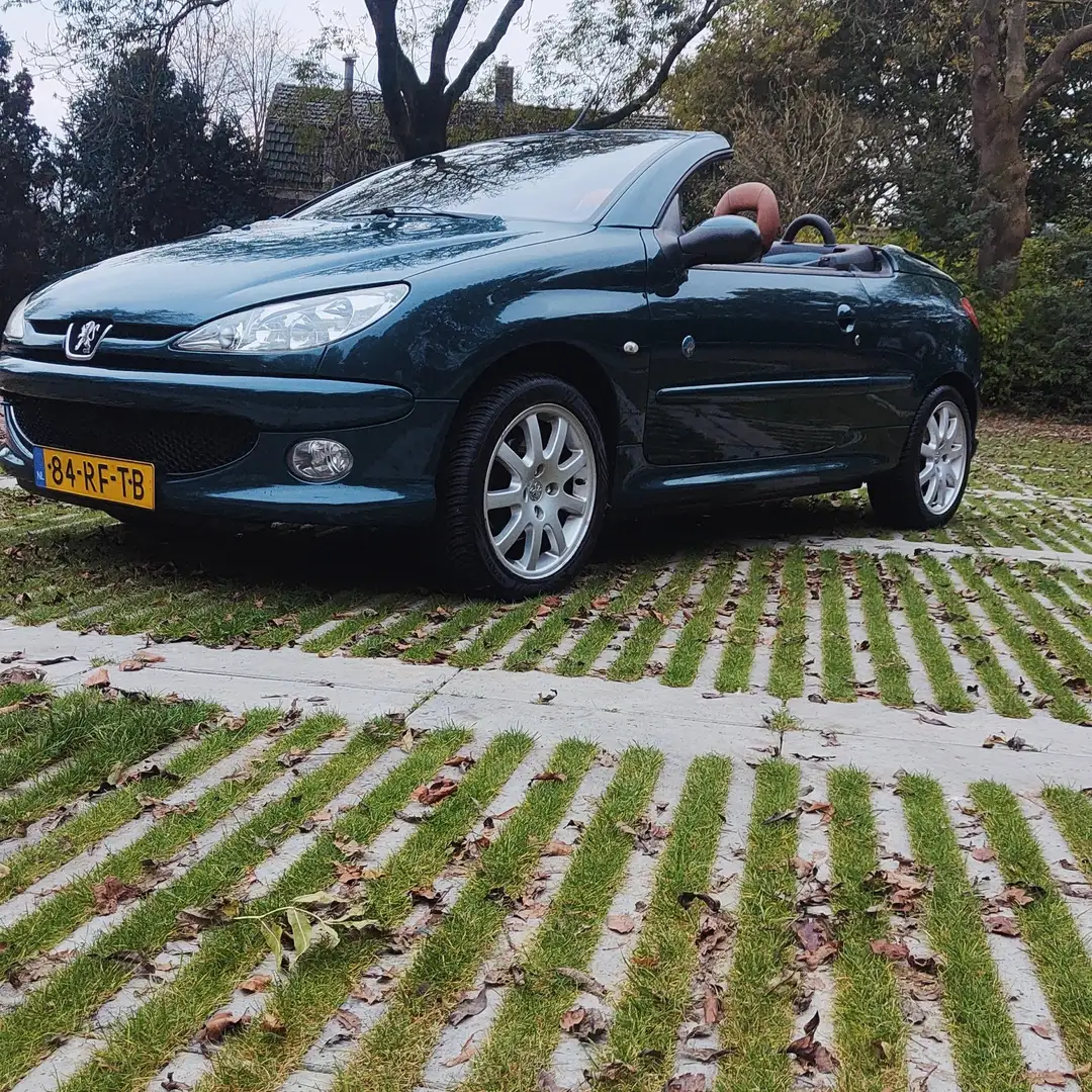 Peugeot 206 1.6-16V Roland G. Verde - 1