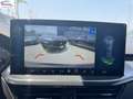 Ford Focus 1.5 ecoblue ST-Line 116cv auto Grigio - thumbnail 13