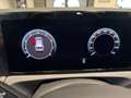 Volkswagen Tiguan Tiguan 1.5 eTSI 150 CV ACT DSG Edition Plus Gris - thumbnail 13