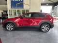 Mazda CX-30 2.0 e-SkyActiv-G M Hybrid 360 / BOSE / AUTOMAAT RI Rouge - thumbnail 23