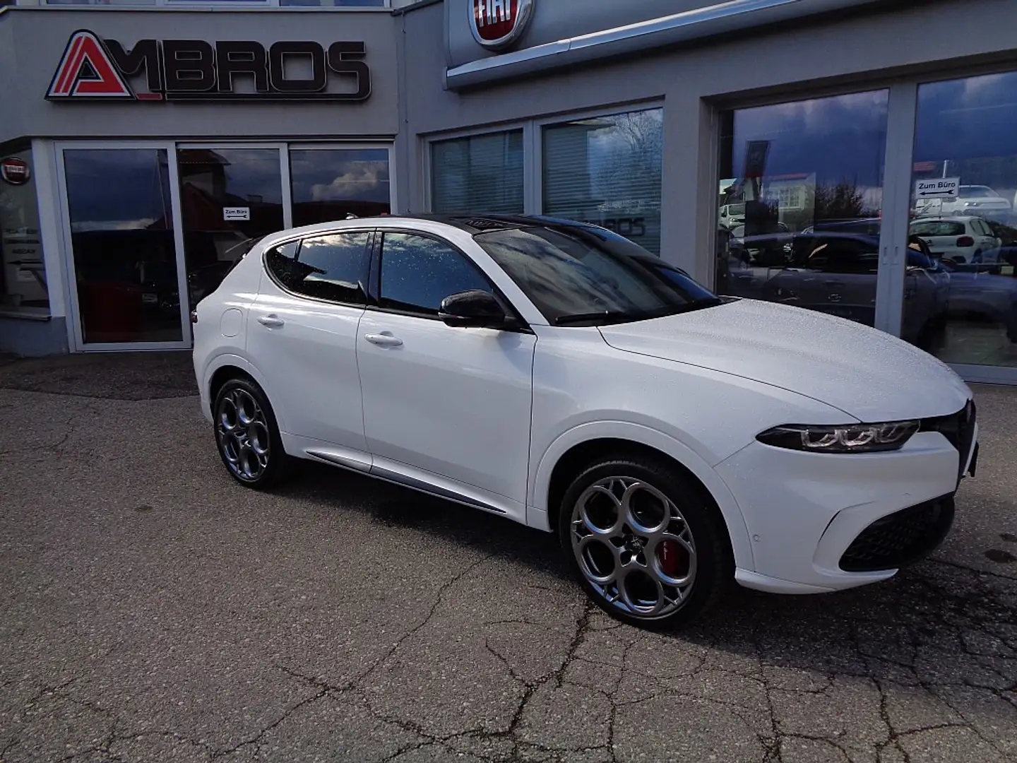 Alfa Romeo Tonale Tributo Italiano 1.3 T4 PHEV VGT e-AWD ALLRAD Weiß - 2