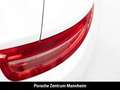 Porsche 991 -1 Carrera 4S Cabrio Bose PDLS Tempostat Navi Blanco - thumbnail 33