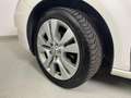 SEAT Leon Leon 1.6 tdi cr Reference Bianco - thumbnail 12