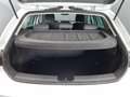 SEAT Leon -37% 2.0 TDI 150 BVA +MIRRORLINK+CAM+LED+Options Beige - thumbnail 37