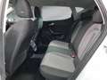 SEAT Leon -37% 2.0 TDI 150 BVA +MIRRORLINK+CAM+LED+Options Beige - thumbnail 8