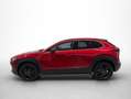 Mazda CX-30 2.5 E-SKYACTIV-G MHEV HOMURA AUTO 5P Rojo - thumbnail 5