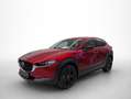 Mazda CX-30 2.5 E-SKYACTIV-G MHEV HOMURA AUTO 5P Rojo - thumbnail 7