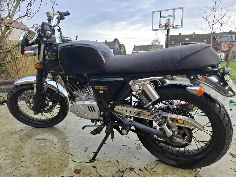 Mash Black Seven - foto 3