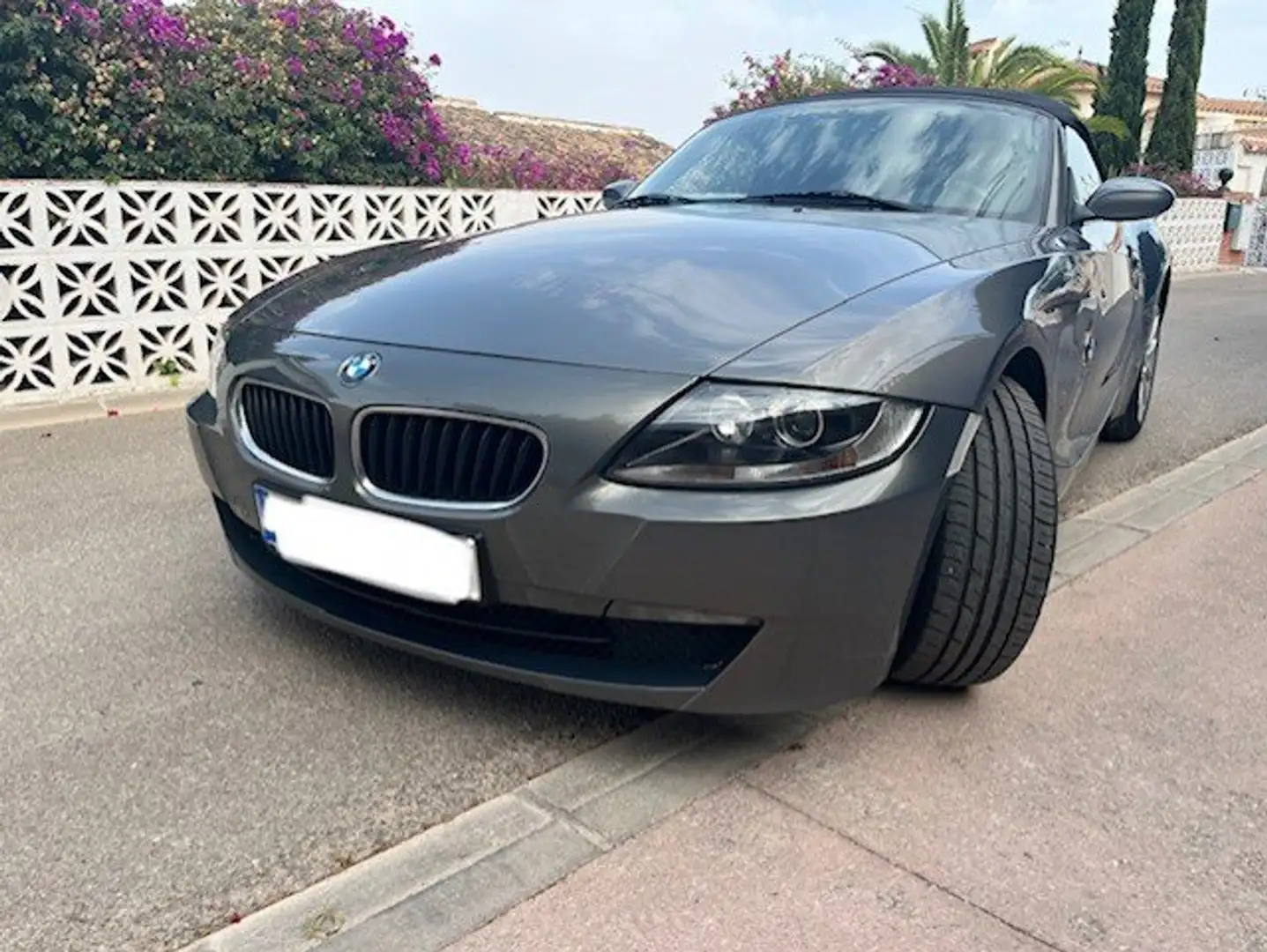 BMW Z4 Z4 2.0i Plateado - 2