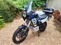 Husqvarna Norden 901 expedition Bleu - thumbnail 4