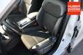 Renault Koleos 2.0l 135kW BLUE dCi FAP INTENS NAVI/KAMERA/META... Wit - thumbnail 12