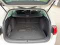 Volkswagen Golf Variant Golf VII Variant TDI R-Line, ACC, Navi, Xenon K... Weiß - thumbnail 17