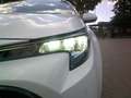 Toyota Corolla Touring Sports Touring Sports 1.8h Business cvt Bianco - thumbnail 12